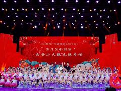 -西安小天鹅艺术团(金花路校区)