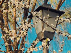 -三里河公园