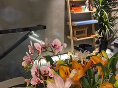 -施奈儿.洗头頭療.按摩SPA.采耳(上梅林店)
