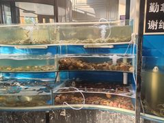 -四海蒸鲜蒸汽海鲜自助(北戴河店)