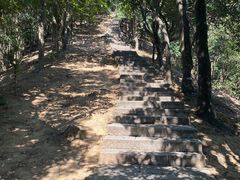 -梧桐山风景名胜区