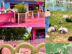 -渔岛海洋度假区