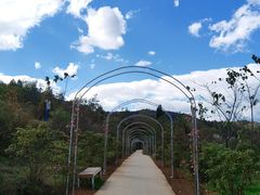 -名花谷生态庄园