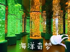 -欢乐海岸海洋奇梦馆