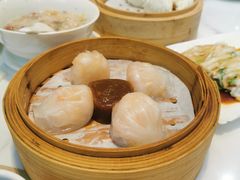 金牌虾饺皇-赏点粤式点心(广州塔店)