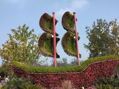 -大兴滨河森林公园