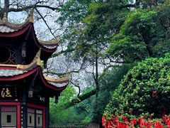 -峨眉山报国寺