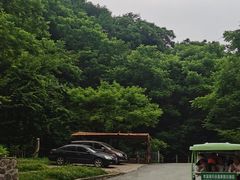 -本溪汤沟绿石谷森林公园