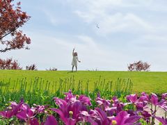 -花开海上生态园