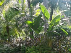 -海南清水湾莱佛士酒店