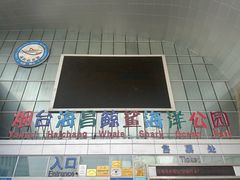 -烟台海昌鲸鲨海洋公园