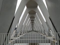 -上海山野camping·户外天幕烧烤·团建拓展营地