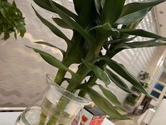 -红菜坊·烤鸭·川鲁宴(石园店)