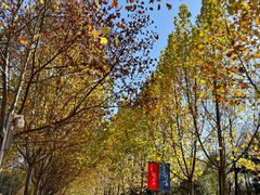 -Supine Bistro溯泮餐厅