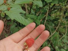 -青龙山国家森林公园