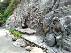 -铁山坪森林公园