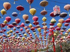 -祥源·阜阳生态乐园