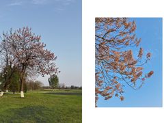 -汉长安城未央宫国家考古遗址公园