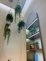 -艾维庭美容纤体SPA