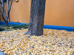 -龙华素斋(龙华路店)