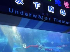 -泉城欧乐堡海洋极地世界