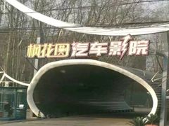 -枫花园汽车电影院(朝阳公园店)