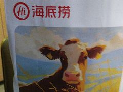-海底捞火锅(大华一路店)