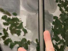 -麦子MaiMassage(打浦桥店)