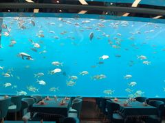 -瑞德姆美人鱼海底演艺主题餐厅(亚龙湾店)