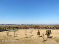 -春花秋色城市公园