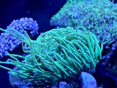 -香炉礁家具市场