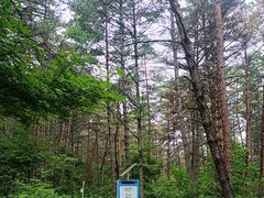 -帽儿山国家森林公园