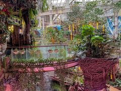 -正佳雨林生态植物园