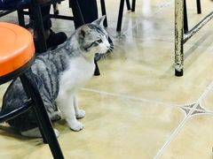 -清真·穆萨砂锅(大皮院店)