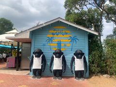 -漳州滨海火山岛自然生态风景区