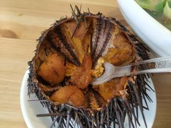 -海胆小馆(东北水饺·春柳店)