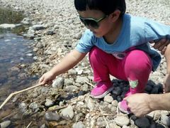 -永定河休闲森林公园