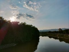 -中国科学院西双版纳热带植物园