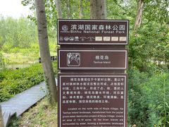-合肥滨湖国家森林公园