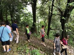 -杨家堂村