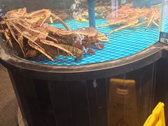 -望海臻鲜·海鲜餐厅