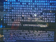-中国地质博物馆