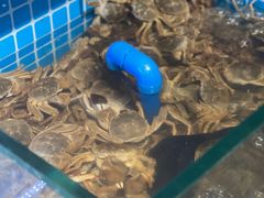 -罗马假日海鲜自助餐厅(星湖广场店)