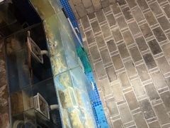 -小时候焗海鲜(鄞州万达店)