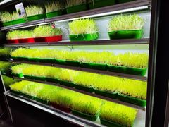 -番食园鲜食火锅(高新店)