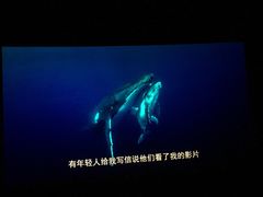 -飞扬影城(正佳IMAX店)