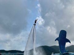 -珠海长隆海洋王国