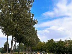 -汉长安城未央宫国家考古遗址公园