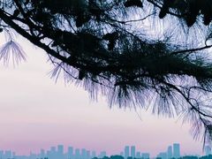 -东湖磨山景区