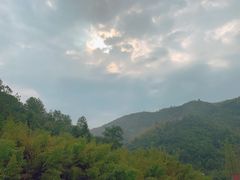 -莫干山风景区